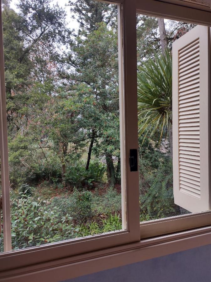 Apartment Apto 4 Pessoas Cantinho Da Mimosa A 4 Min Do Centro, Prox Ao Lagonegro Com Wi-fi Aceita Pet Gramado